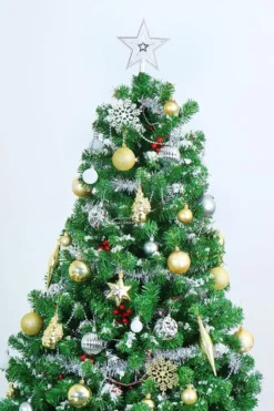 10 Pcs Christmas Assorted Ornaments With A Star Tree Topper Gold, Silver & White 12 10 Pcs Christmas Assorted Ornaments With A Star Tree Topper Gold, Silver & White -Christmas Decorations 10 Pcs Christmas Assorted Ornaments with a Star Tree Topper Gold Silver amp White 2