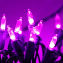 100 LED Purple Christmas String Lights 11 100 LED Purple Christmas String Lights -Christmas Decorations 100 count Purple LED Green Wire Christmas Light 4 result 600x600 1