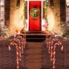 6pcs Warm White Christmas Candy Cane Pathway Markers 17in 2 6pcs Warm White Christmas Candy Cane Pathway Markers 17in -Christmas Decorations 17 Christmas Candy Cane Pathway Markers 1 result 600x600 2