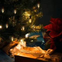 25pcs C7 Christmas Replacement Light Bulb 13 25pcs C7 Christmas Replacement Light Bulb -Christmas Decorations 25 Pcs C7 Incandescent Bulb 7 result 600x600 1