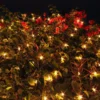 2x100 Warm White Christmas Net Lights 4x4ft 1 2x100 Warm White Christmas Net Lights 4x4ft -Christmas Decorations 2Pcs 100 Incandescent Warm White Christmas Net Lights 4x4ft 1 600x600 1