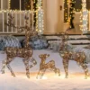 3Pcs Rattan Christmas Reindeer Buck, Doe, And Fawn Yard Lights 2 3Pcs Rattan Christmas Reindeer Buck, Doe, And Fawn Yard Lights -Christmas Decorations 3Pcs Rattan Christmas Reindeer Buck Doe and Fawn Yard Lights 2 1 600x600 1