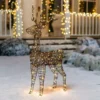 3ft 80 LED Christmas Rattan Reindeer Buck 1 3ft 80 LED Christmas Rattan Reindeer Buck -Christmas Decorations 3ft Rattan Buck Christmas Yard Light 1 600x600 1