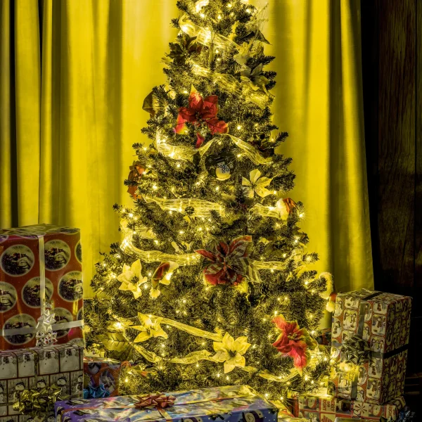 600 LED Cool White Led String Lights Green Wire 6 600 LED Cool White Led String Lights Green Wire - Image 4