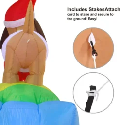 6ft Inflatable LED Inflatable Weiner Dog Snowboarding -Christmas Decorations 6ft Inflatable LED inflatable Weiner Dog Snowboarding 6 result 600x621 1